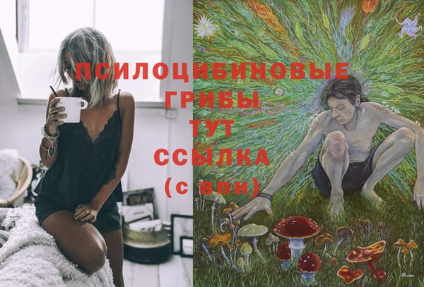 гидра Абинск