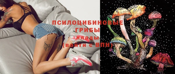дживик Алексин