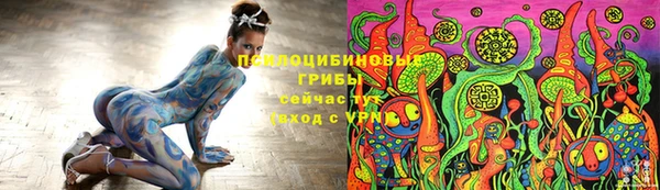дурь Абаза