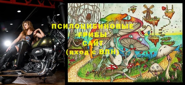 дурь Абаза
