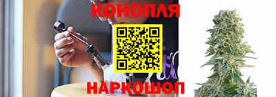 молекула духа Донецк