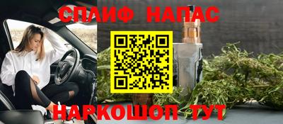 крисы Донской