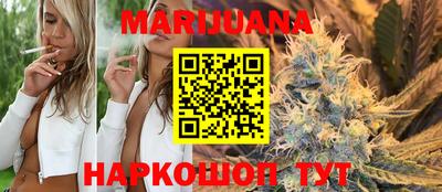 крисы Донской
