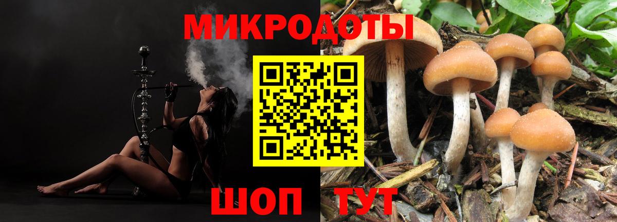 купить наркоту  Галлюциногенные грибы прущие грибы  Вход с VPN  Галлюциногенные грибы ЛСД  Зеленокумск 